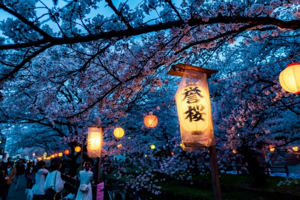 Japanese Intermediate Conversation & Kanji | Sept 29 - Oct 22 & Oct 27 - Nov 19