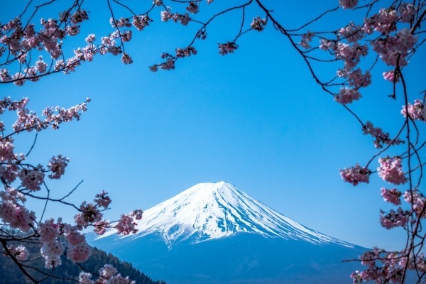 Japanese II | Sept 29 - Nov 19